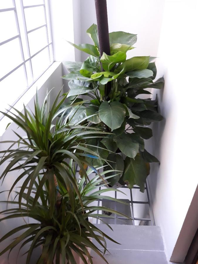 Blue Home Serviced Apartment Hanoi Eksteriør billede